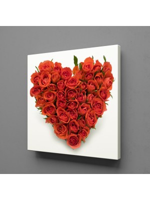 Technopa GÜLLERDEN KALP KANVAS TABLO - 70x70cm