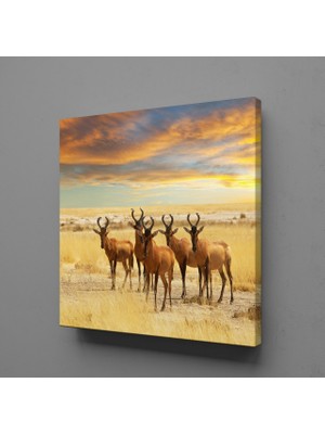 Technopa GEYİKLER KANVAS TABLO - 90x90cm