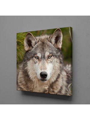 Technopa KURT KANVAS TABLO - 50x50cm