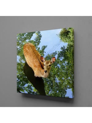 Technopa CEYLAN KANVAS TABLO - 40x40cm