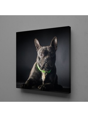 Technopa SİYAH KÖPEK KANVAS TABLO - 90x90cm