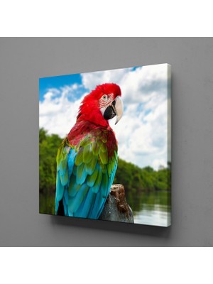 Technopa RENKLİ PAPAĞAN KANVAS TABLO - 140x140cm