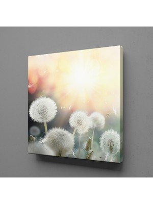 Technopa KARAHİNDİBA ÇİÇEKLERİ KANVAS TABLO - 130x130cm