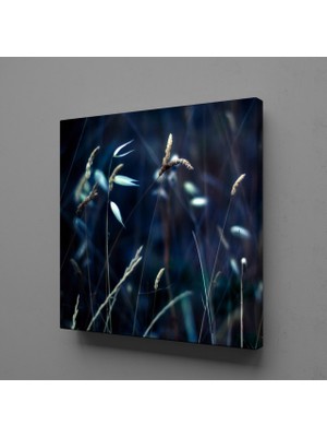 Technopa ÇİÇEK TARLASI KANVAS TABLO - 120x120cm
