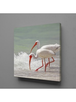 Technopa Beyaz Flamingolar Kanvas Tablo 40X40CM