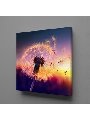 Technopa KARAHİNDİBA ÇİÇEĞİ UÇAN YAPRAKKLAR KANVAS TABLO - 50x50cm