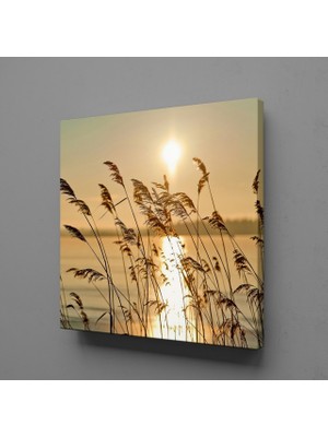 Technopa ÇİÇEK TARLASI KANVAS TABLO - 150x150cm