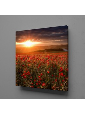 Technopa ÇİÇEK TARLASI KANVAS TABLO - 150x150cm