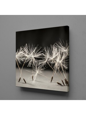 Technopa Karahindiba Çiçeği Kanvas Tablo 30X30CM