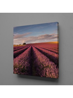Technopa PEMBE ÇİÇEK TARLASI KANVAS TABLO - 190x190cm