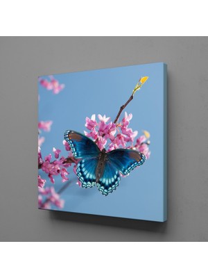 Technopa MAVİ KELEBEK KANVAS TABLO - 150x150cm