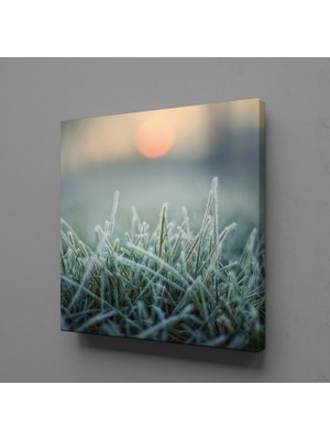 Technopa BUĞDAY BAŞAKLARI KANVAS TABLO - 200x200cm