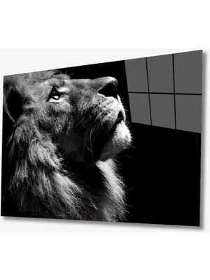 Emos avm Aslan Hayvan Cam Tablo 4mm Dayanıklı Temperli Cam