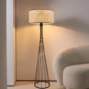 Dora Orjinal Rattan Metal Lambader AYD-3681