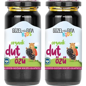 Güzel Ada Gıda Kids Organik Dut Özü 2X290 gr