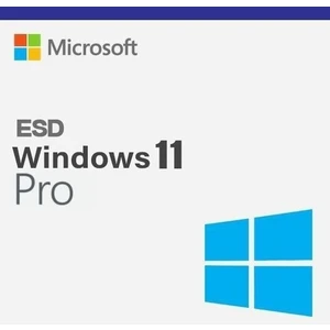 Windows 11 Pro 32/64BIT Tr/eng Lisans Esd (Online Lisans)