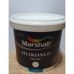 Silikonlu Özel Mat Boya 1 Lt