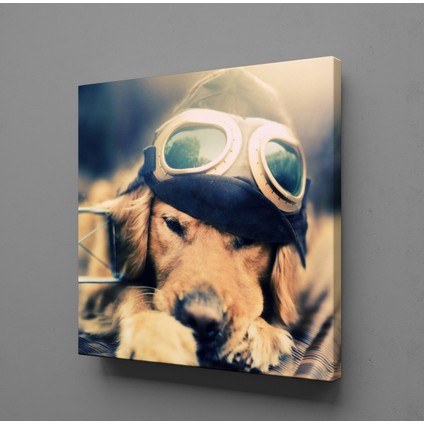 Yavru Köpek Kanvas Tablo 170X170CM