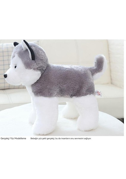 40CM Sevimli Köpek Yavrusu Husky Peluş Oyuncak (Yurt Dışından)