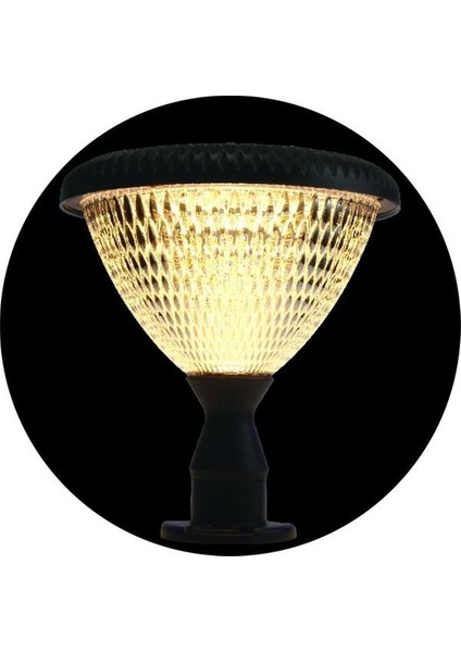 80Cm 100W Alüminyum Aydınlatma Direği