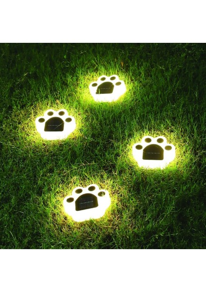 5W Solar Pati