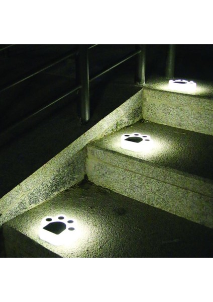 5W Solar Pati