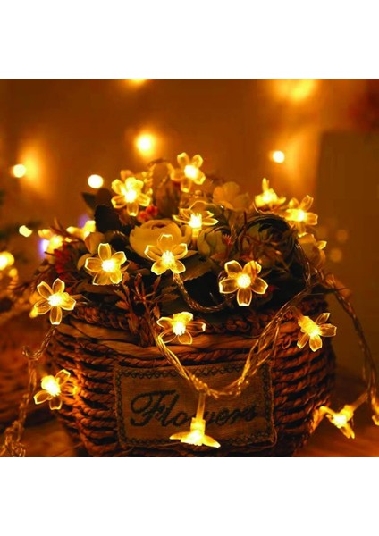 7 Mod 5 Metre 20W Solar Işık Zinciri modelleri