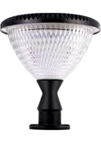 100W Solar Bahçe Armatürü