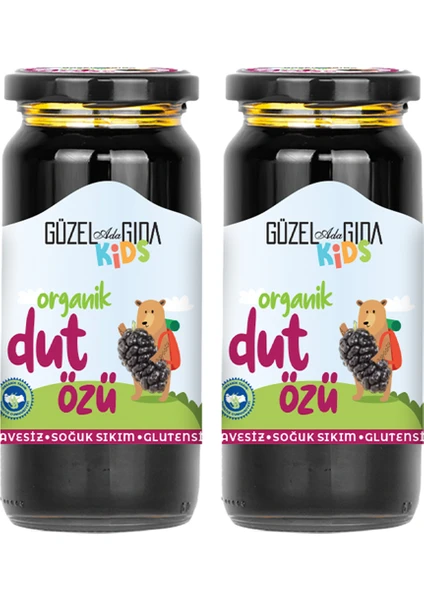 Güzel Ada Gıda Kids Organik Dut Özü 2X290 gr