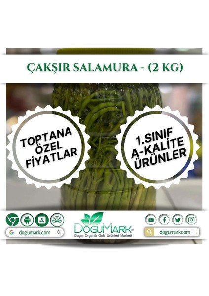 Çakşır Salamura - (2 Kg)