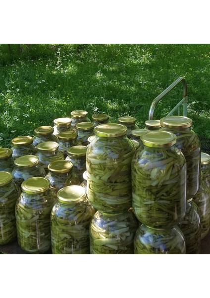 Çakşır Salamura - (2 Kg)