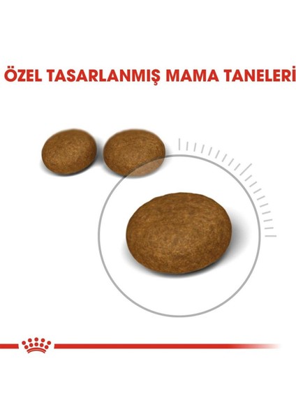 Hair Skin Kedi Maması 2kg modelleri
