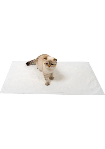 60 x 90 cm Kedi Köpek Çiş Pedi 60 Adet