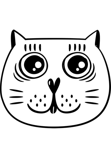 Kedi Folyo Sticker 50CM Uzunluk