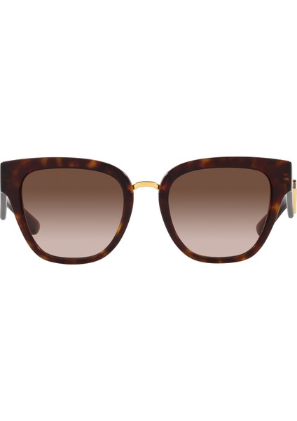 Dolce&gabbana 4437 502/13 51 Kadın Kahve Havana Güneş Gözlüğü fiyatları