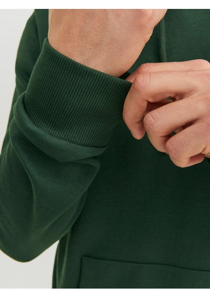 Kapüşonlu Sweatshirt 12182537