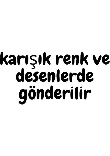 Ebruli Butik 6 Lı Kadın Terlik