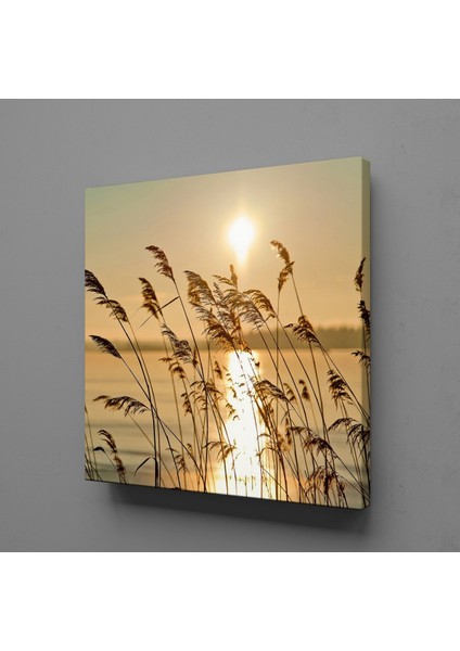Çiçek Tarlası Kanvas Tablo 100X100CM