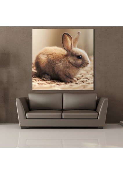 Kahverengi Tavşan Kanvas Tablo 80X80CM