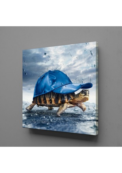 Kaplumbağa Kanvas Tablo 70X70CM