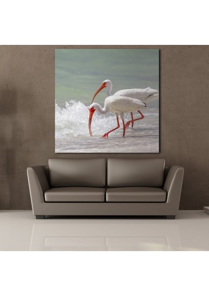 Beyaz Flamingolar Kanvas Tablo 140X140CM