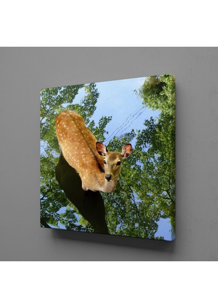 Ceylan Kanvas Tablo 90X90CM