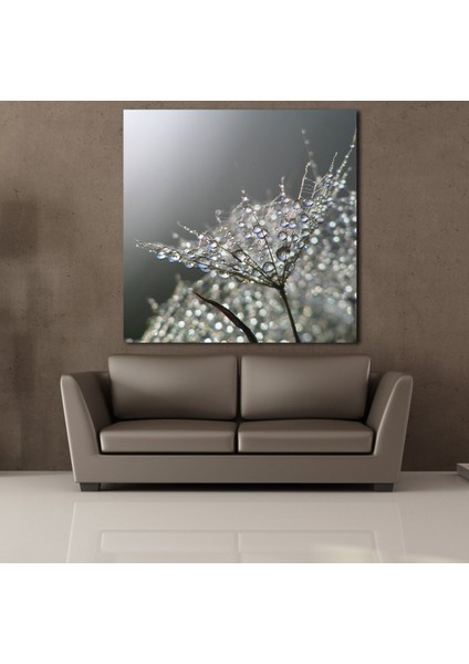 Karahindiba Çiçeği Tüğleri Kanvas Tablo 110X110CM fiyatları