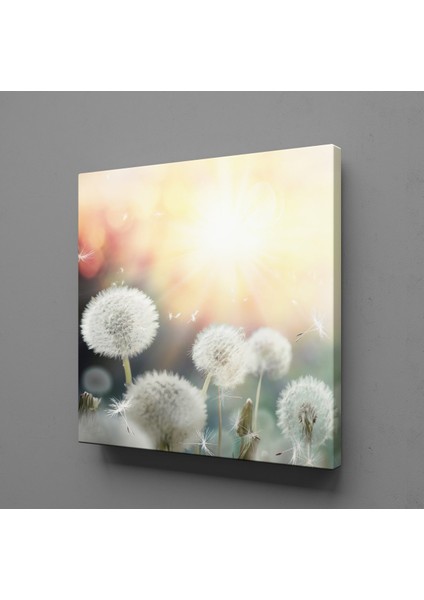Karahindiba Çiçekleri Kanvas Tablo 120X120CM