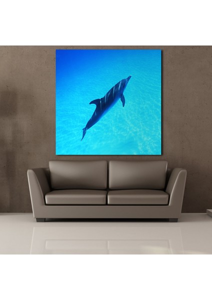 Yunus Balığı Kanvas Tablo 50X50CM fiyatları