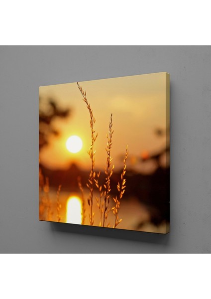 Gün Doğuşu ve Batışı Çiçekler Kanvas Tablo 120X120CM