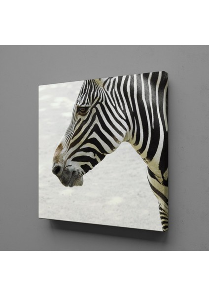 Zebra Kafası Kanvas Tablo 80X80CM