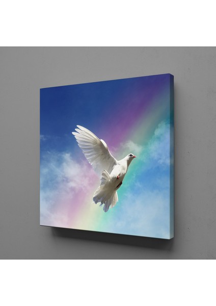 Beyaz Güvercin ve Gökkuşağı Kanvas Tablo 90X90CM