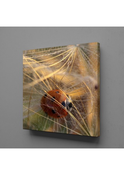 Çiçeklerin Arasında Uğur Böceği Kanvas Tablo 40X40CM