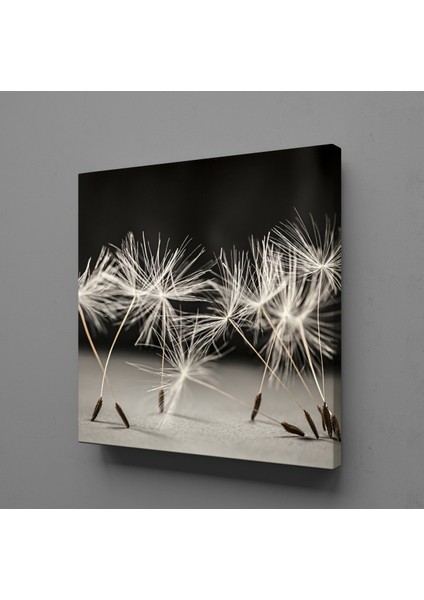 Karahindiba Çiçeği Kanvas Tablo 120X120CM